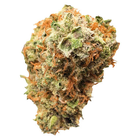 Gelato 41 x Triangle Kush Photo