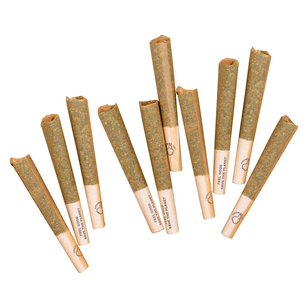 Sativa - Indica Variety Pack Pre-Roll - 
