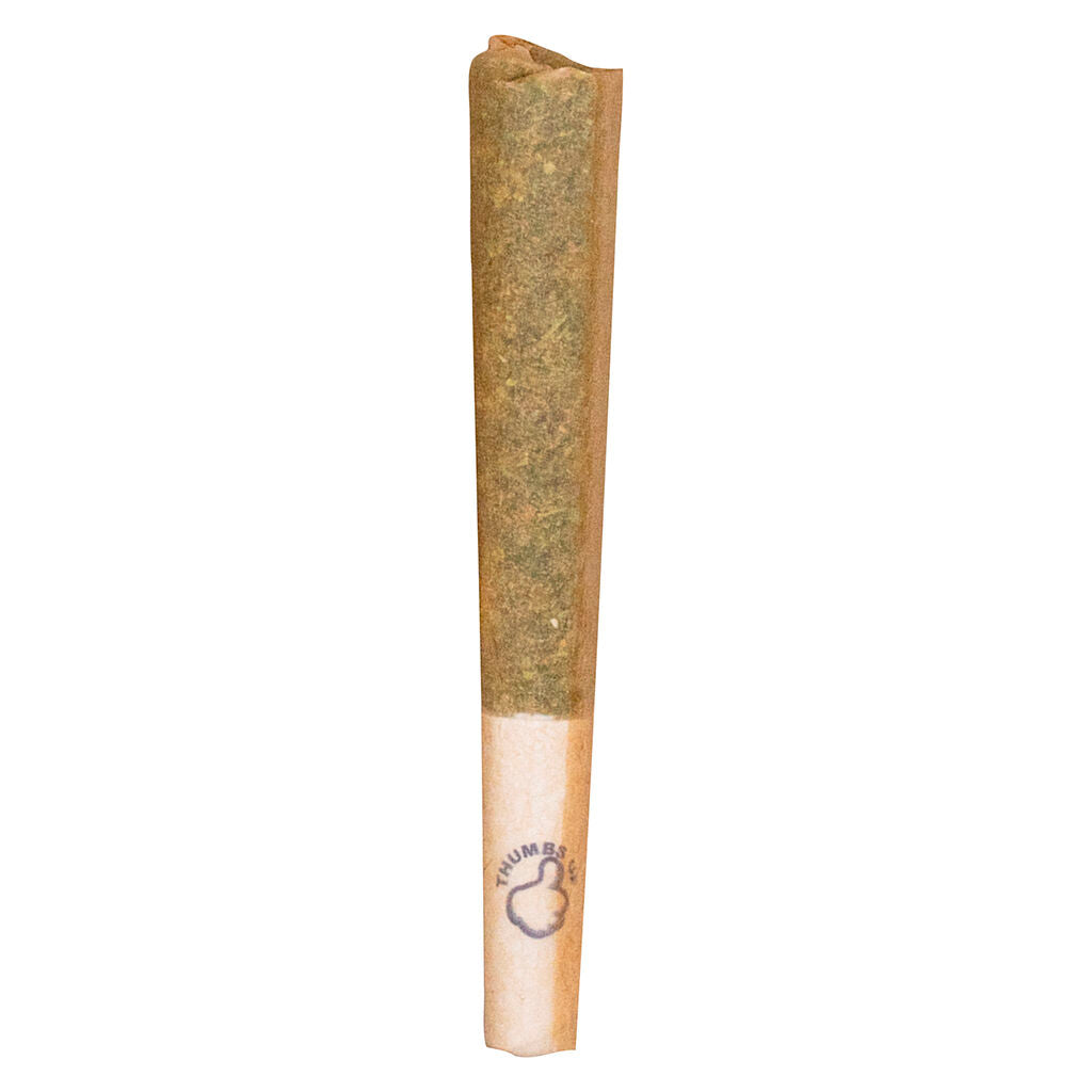 Indica Pre-Roll - 