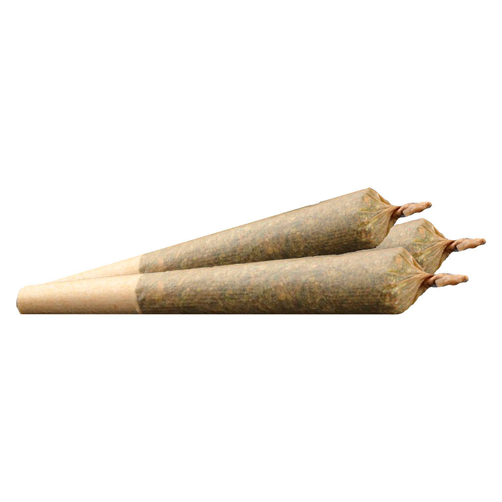 Mango Madness Infused Pre-Roll - 
