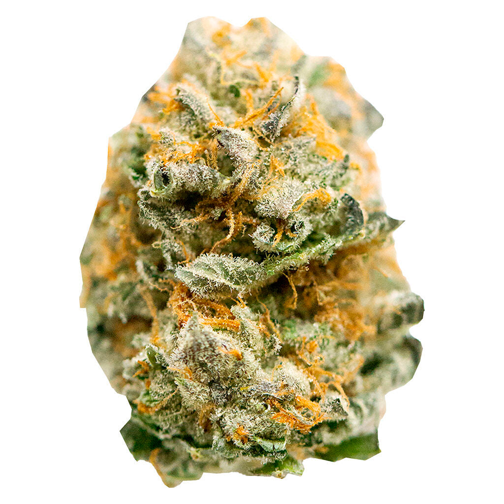 Peppermint Kush - 