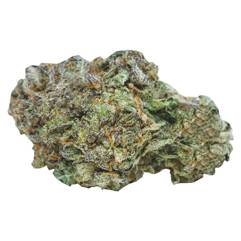 Photo Ontario's Own Sativa