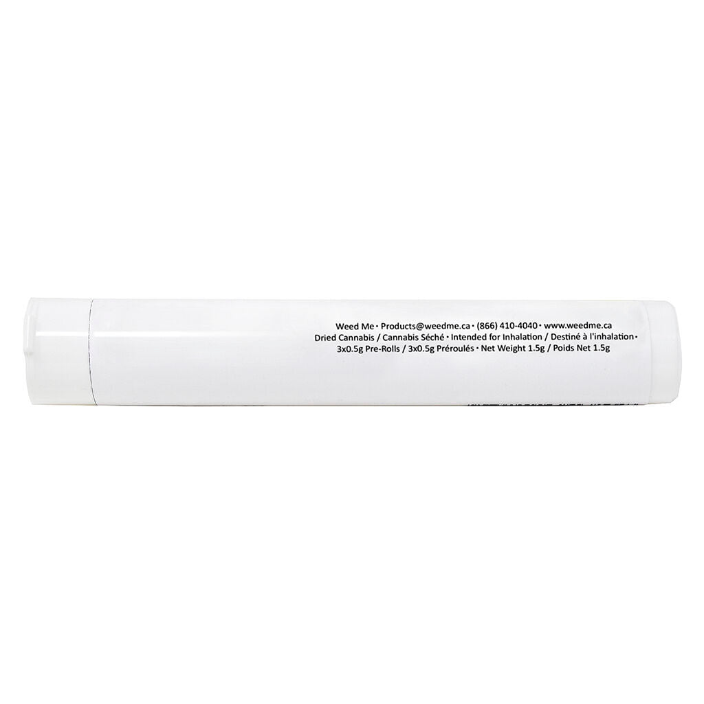 Maple Rntz Pre-Roll