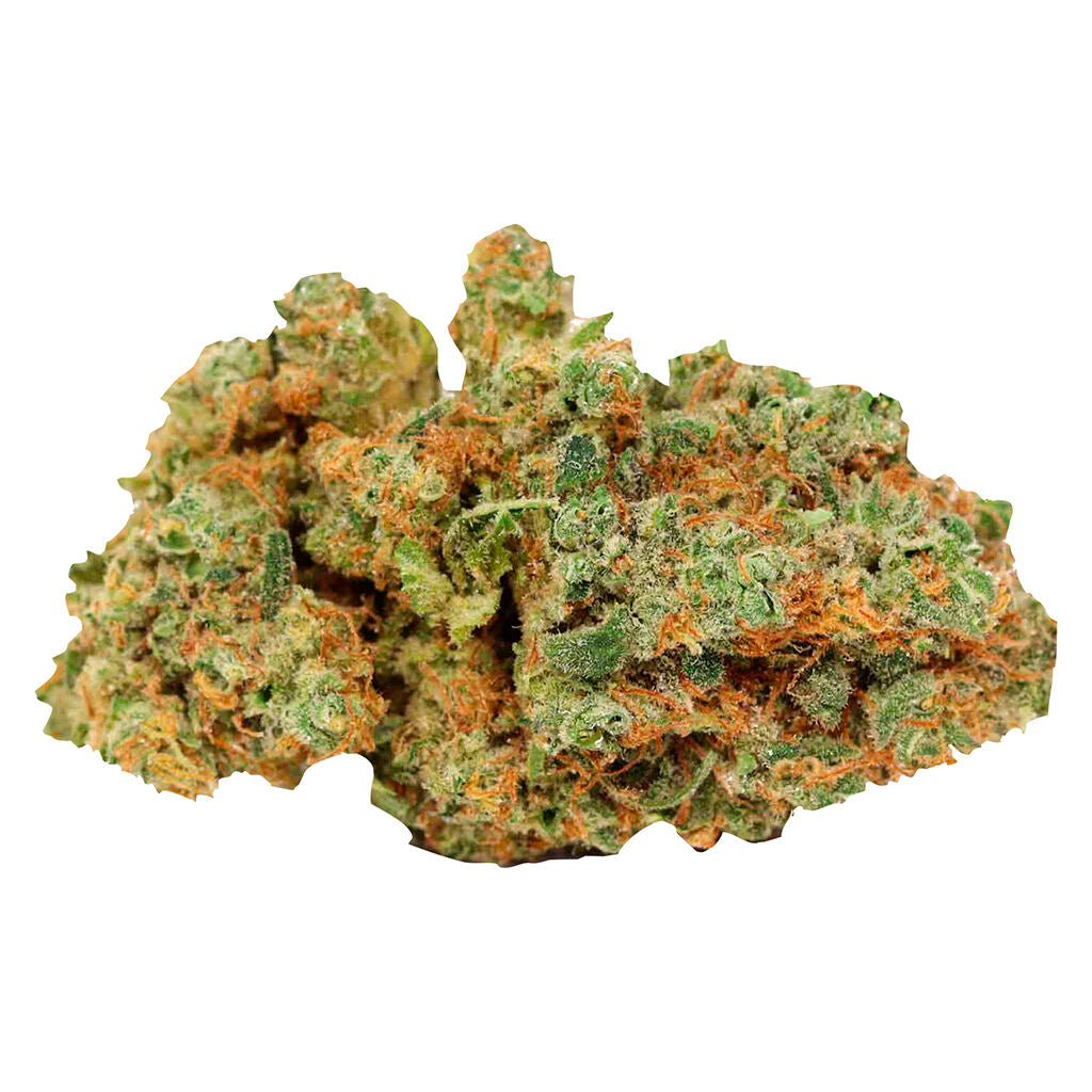 Sunset Sherb x Thin Mint Cookies - 