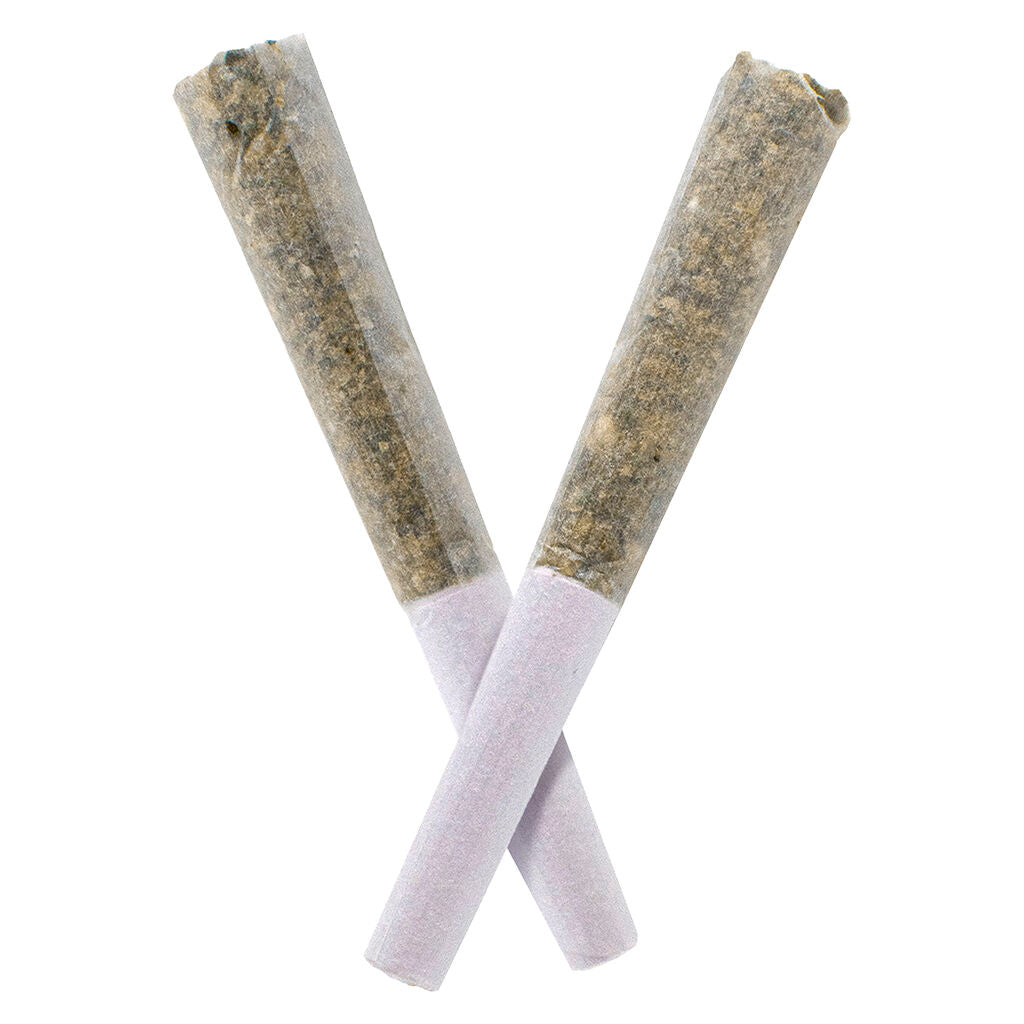 Hash Rosin Infused Pre Rolls - 