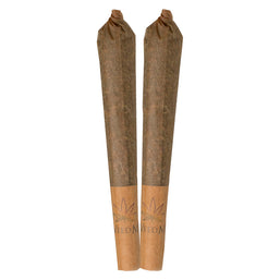 Photo Budtender's Choice - Lazy Terp Pack Pre-Roll