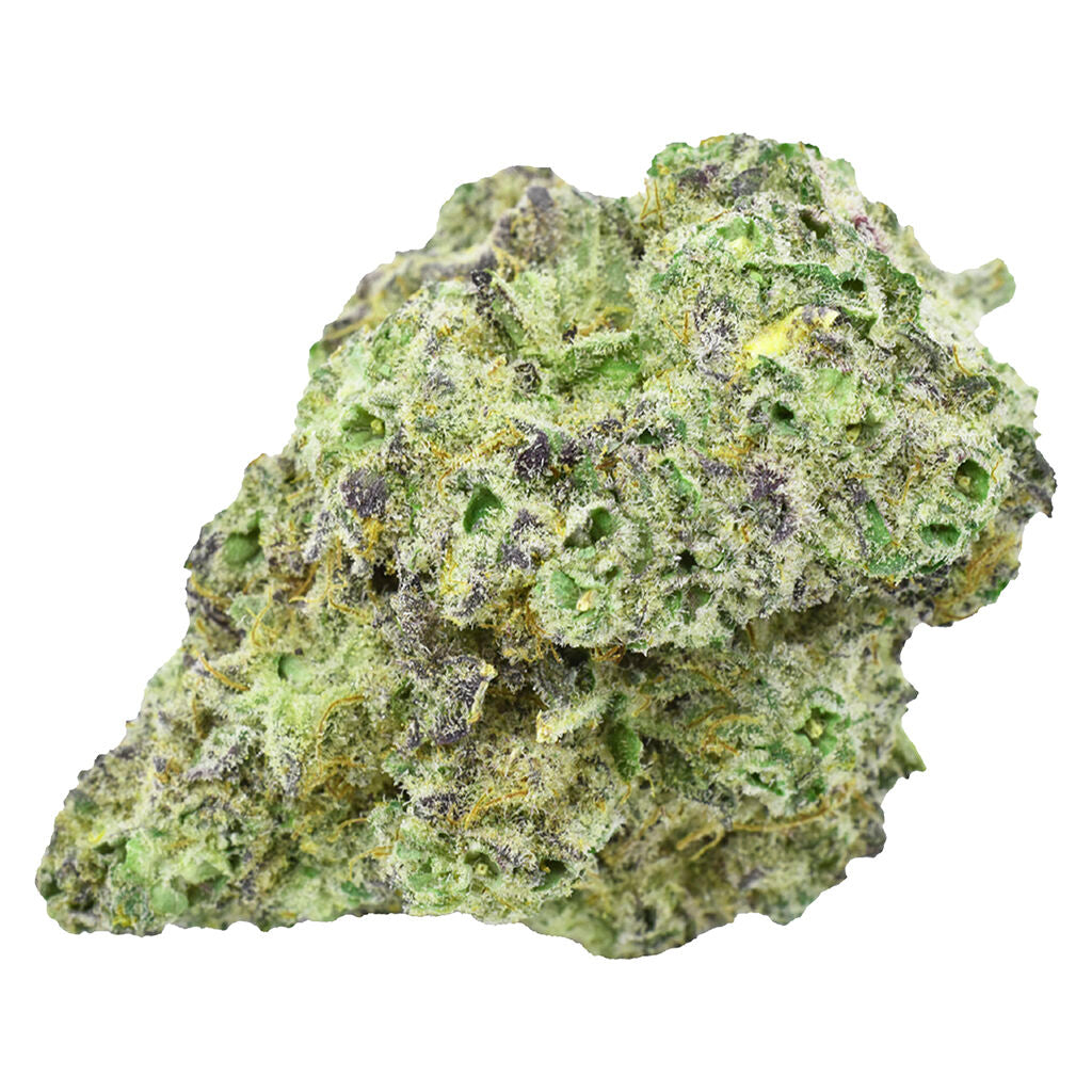 OPP Dried Flower Indica - 