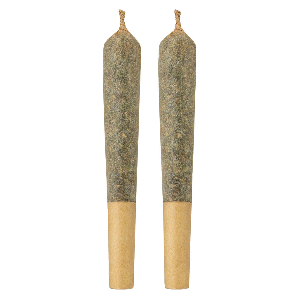 Budtender's Choice - Horny Terp Pack Pre-Roll - 