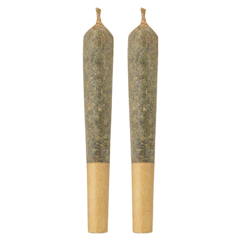 Photo Budtender's Choice - Horny Terp Pack Pre-Roll