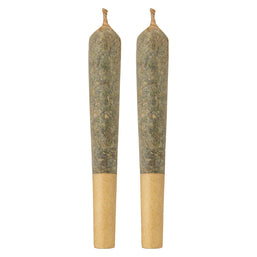 Photo Budtender's Choice - Horny Terp Pack Pre-Roll