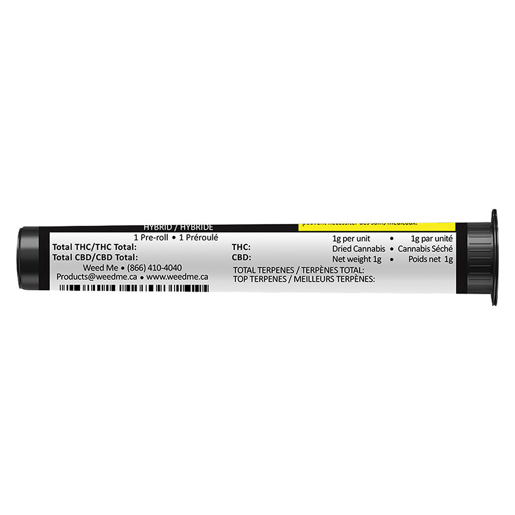 Rainbow Sherb Blunt - 