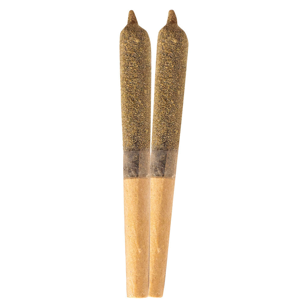 IN-Fused Tropical Punch Infused Pre-Roll - 