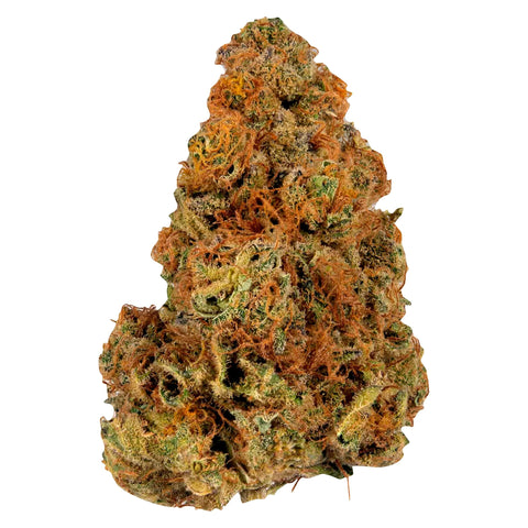 Photo Ripped Indica