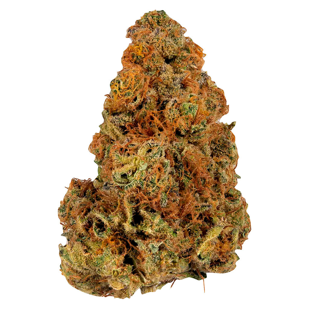 Ripped Indica