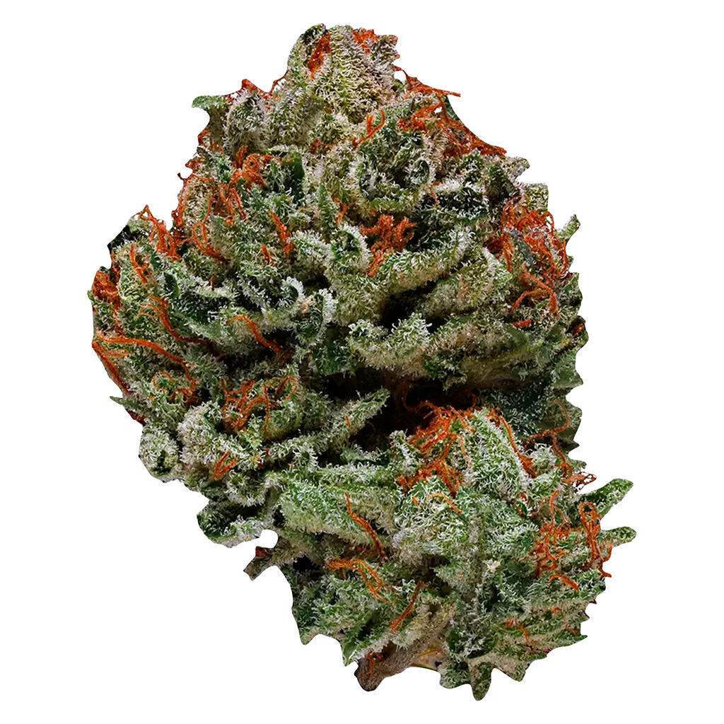 Ripped Sativa