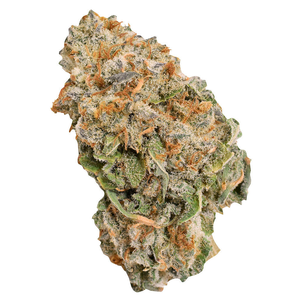 Ripped Indica