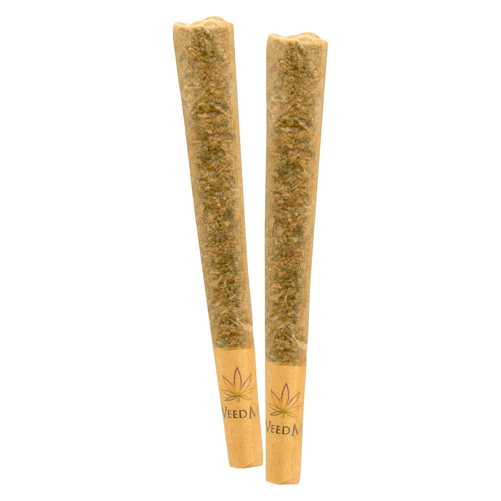 Jean Guy Pre-Roll