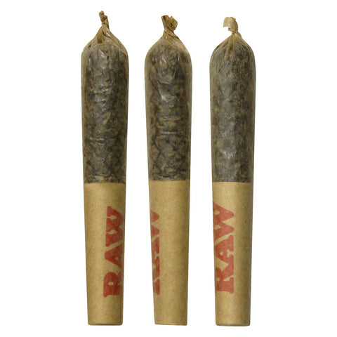 Photo Widows Blood Disti Joints