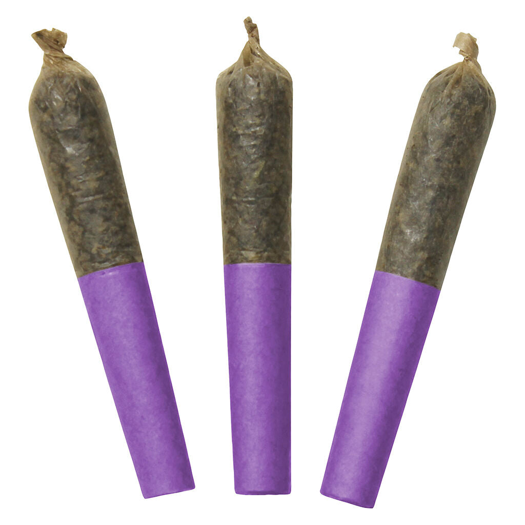 Motor Breath 60's+ Dbl Infused Pre-Rolls - 