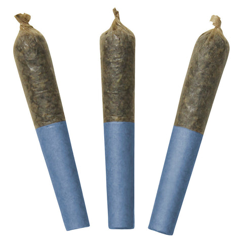 Photo Préroulé infusé au Blue Lobster 60's+ Dbl