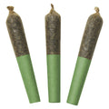 Tropical Burst 60's+ Dbl Infused Pre-Roll