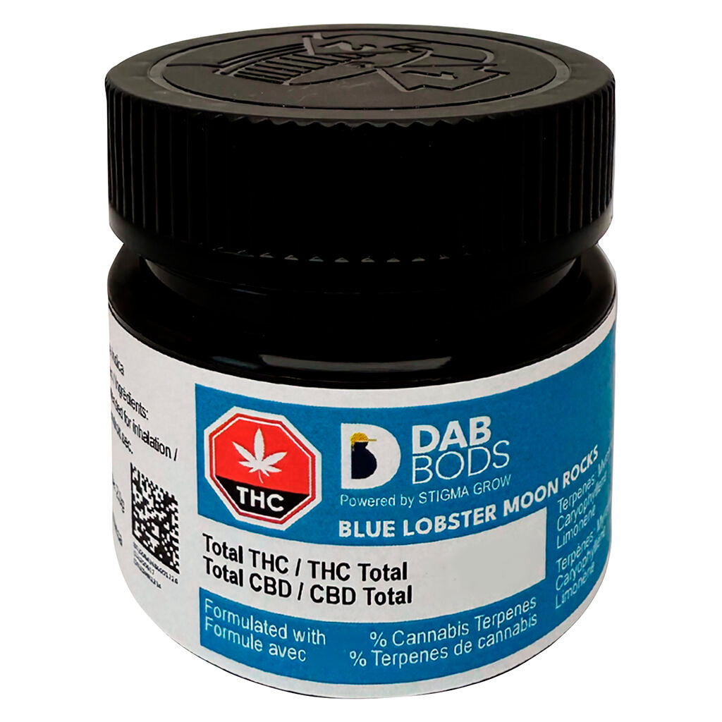 Blue Lobster Moon Rocks - 