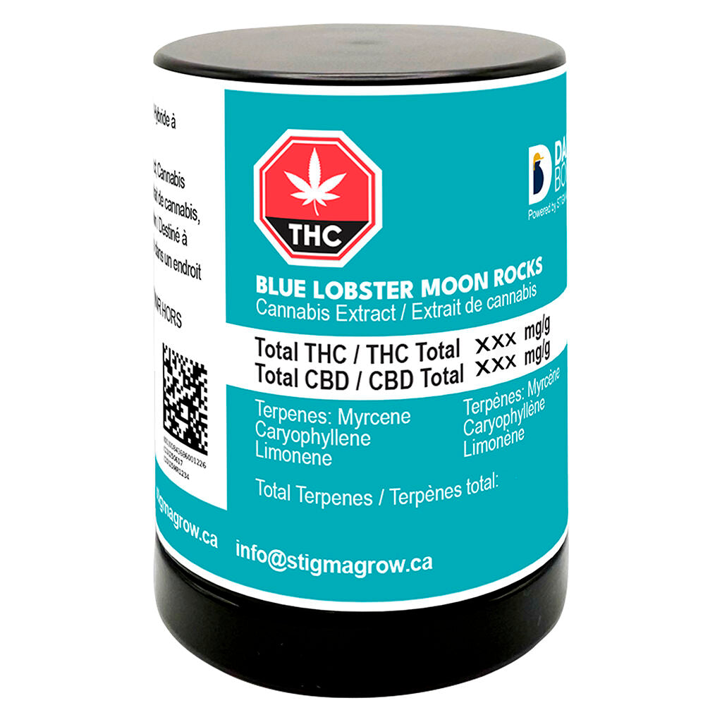 Blue Lobster Moon Rocks - 