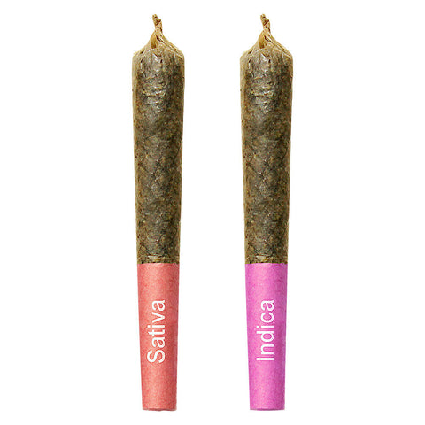 Photo Duo de préroulés infusés à l’ambre Gemini Sun and Moon