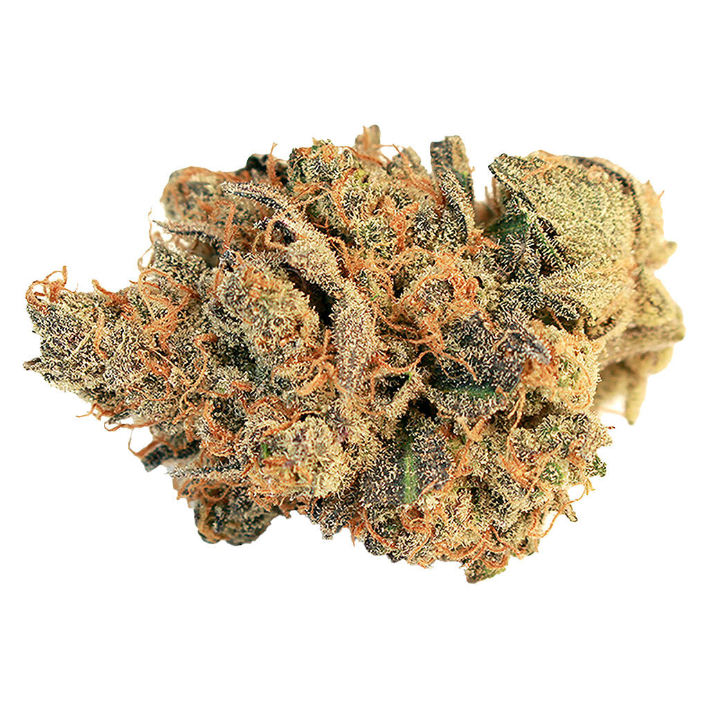 Pink Bubba - 