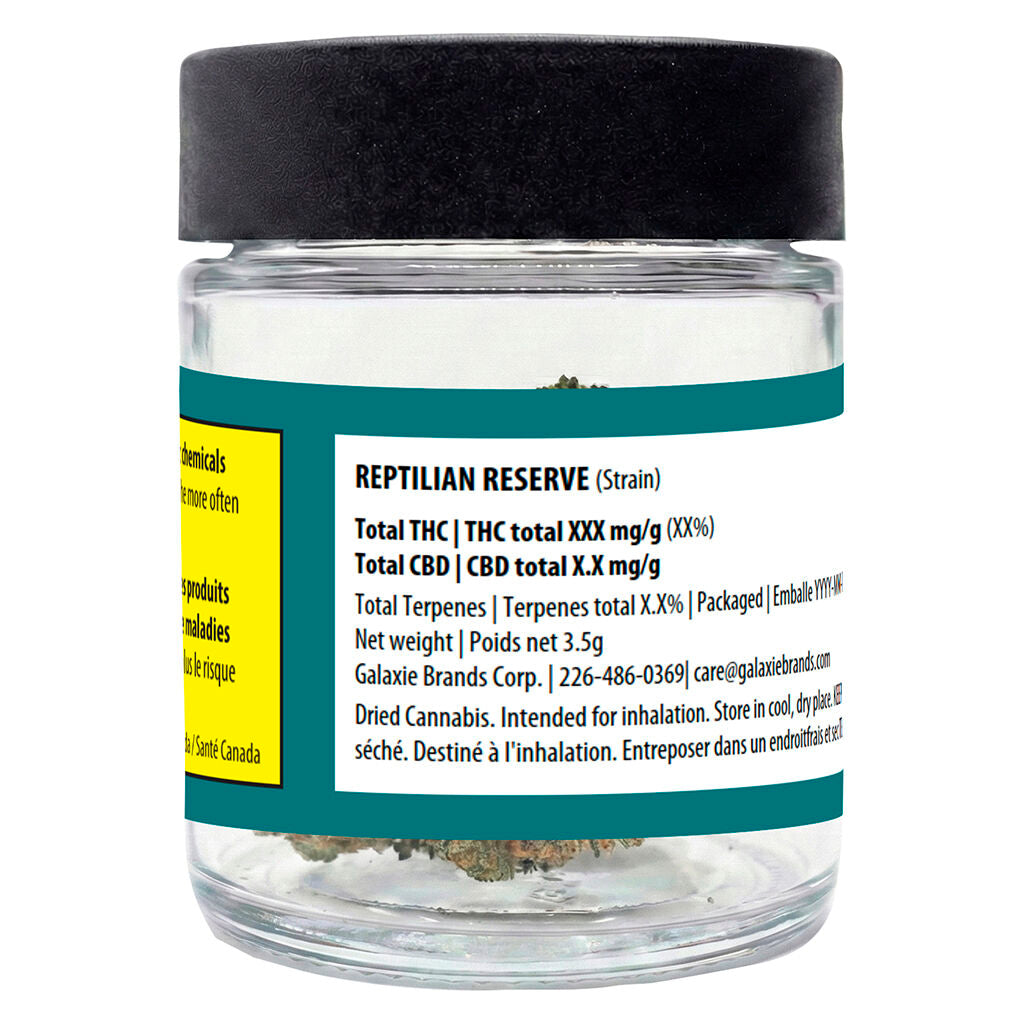 Reptilian Reserve - 
