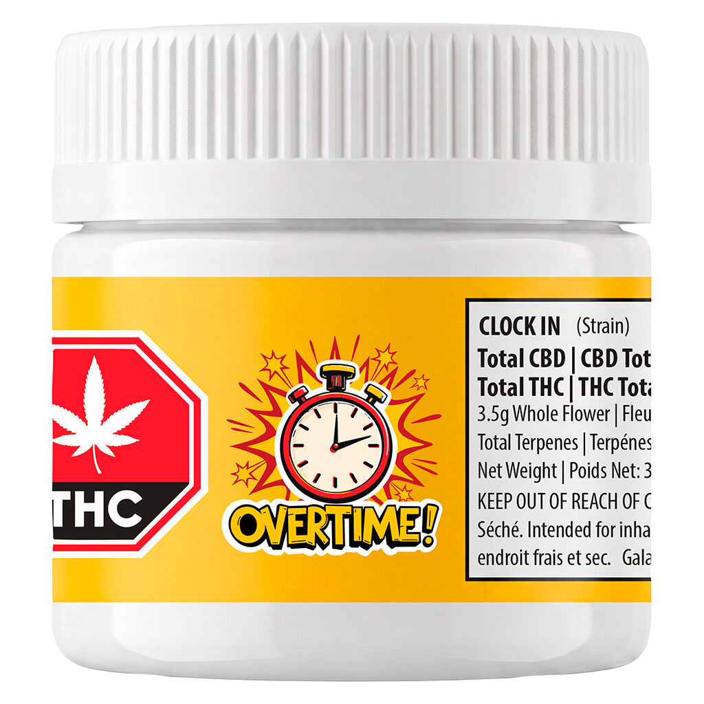 Clock In - 