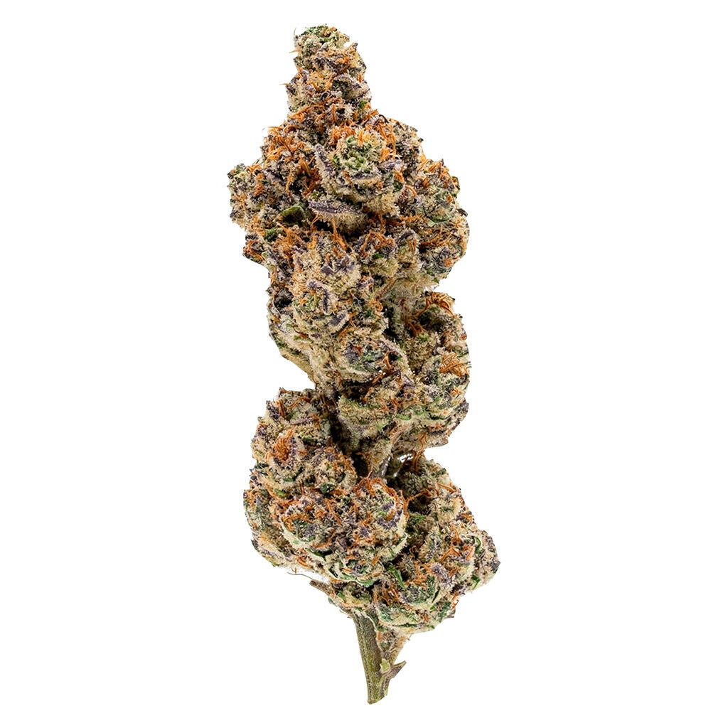 Payday Pack - 