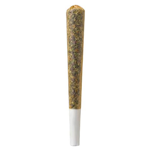 Photo Break Time - Pre-Roll