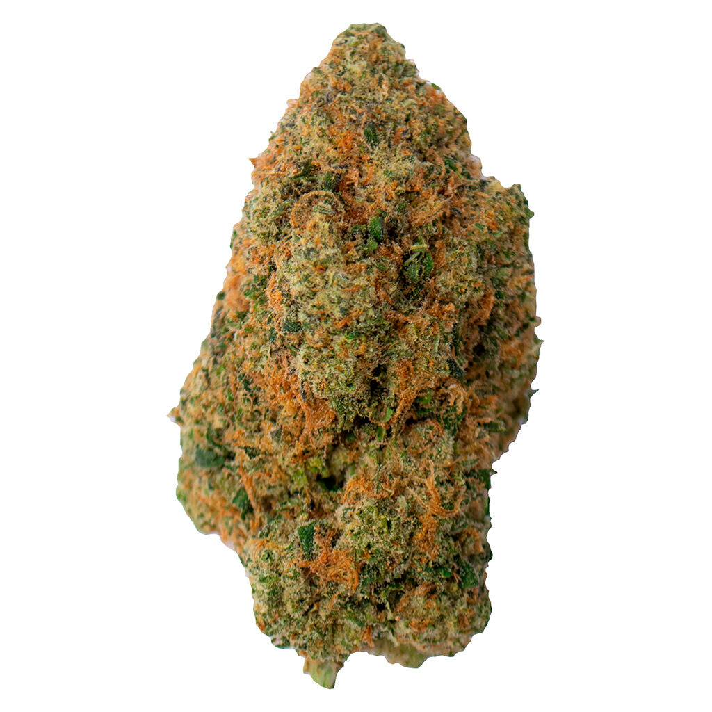 Toba's Indica - 