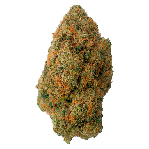 Photo Toba's Indica