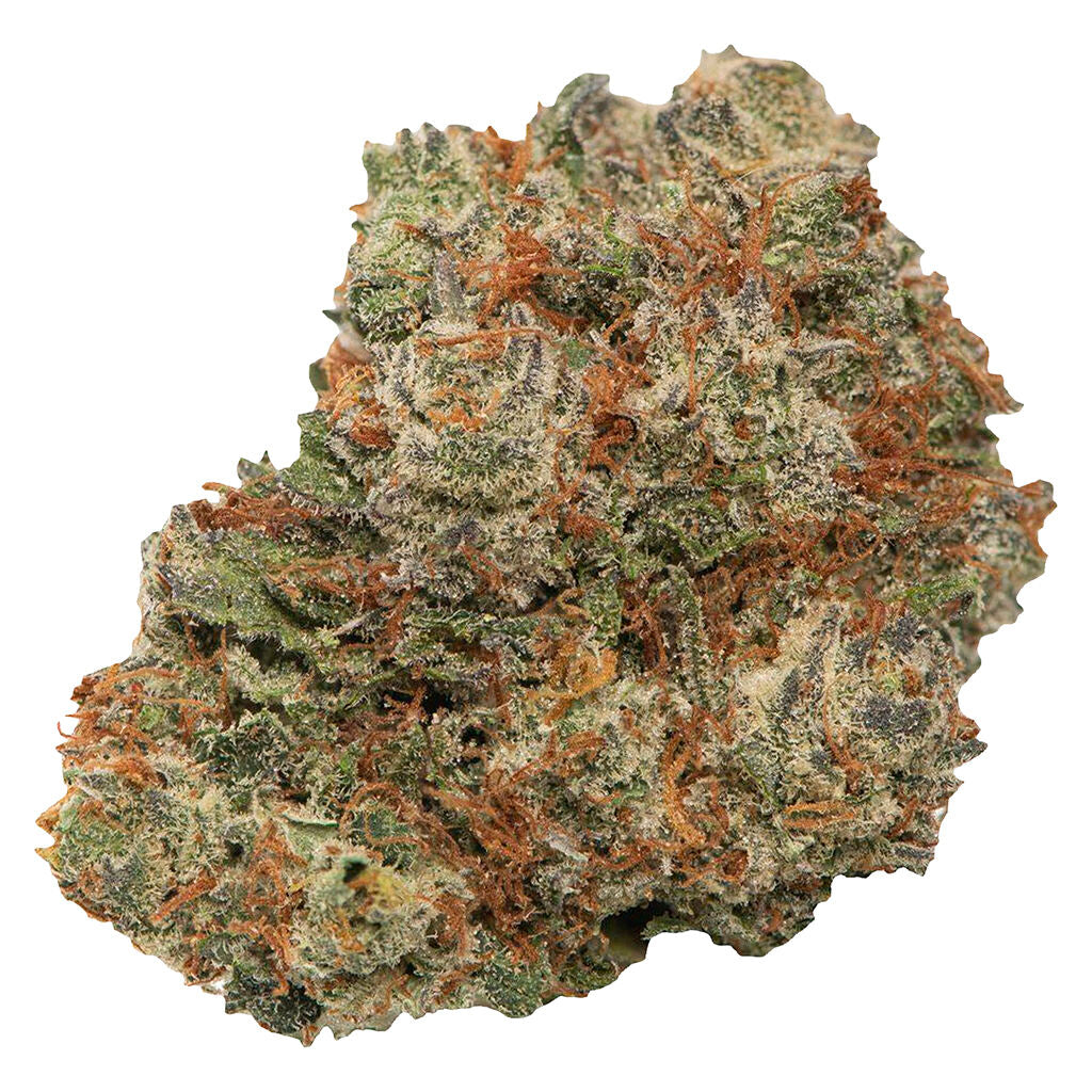 Toba's Sativa - 