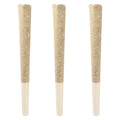Ghost Banner Pre-Roll