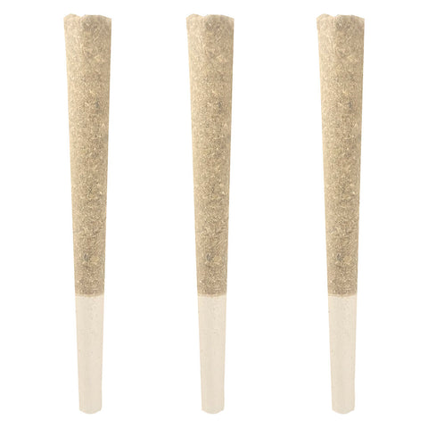 Photo Ghost Banner Pre-Roll