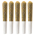 Sun-Kissed Pre-Roll