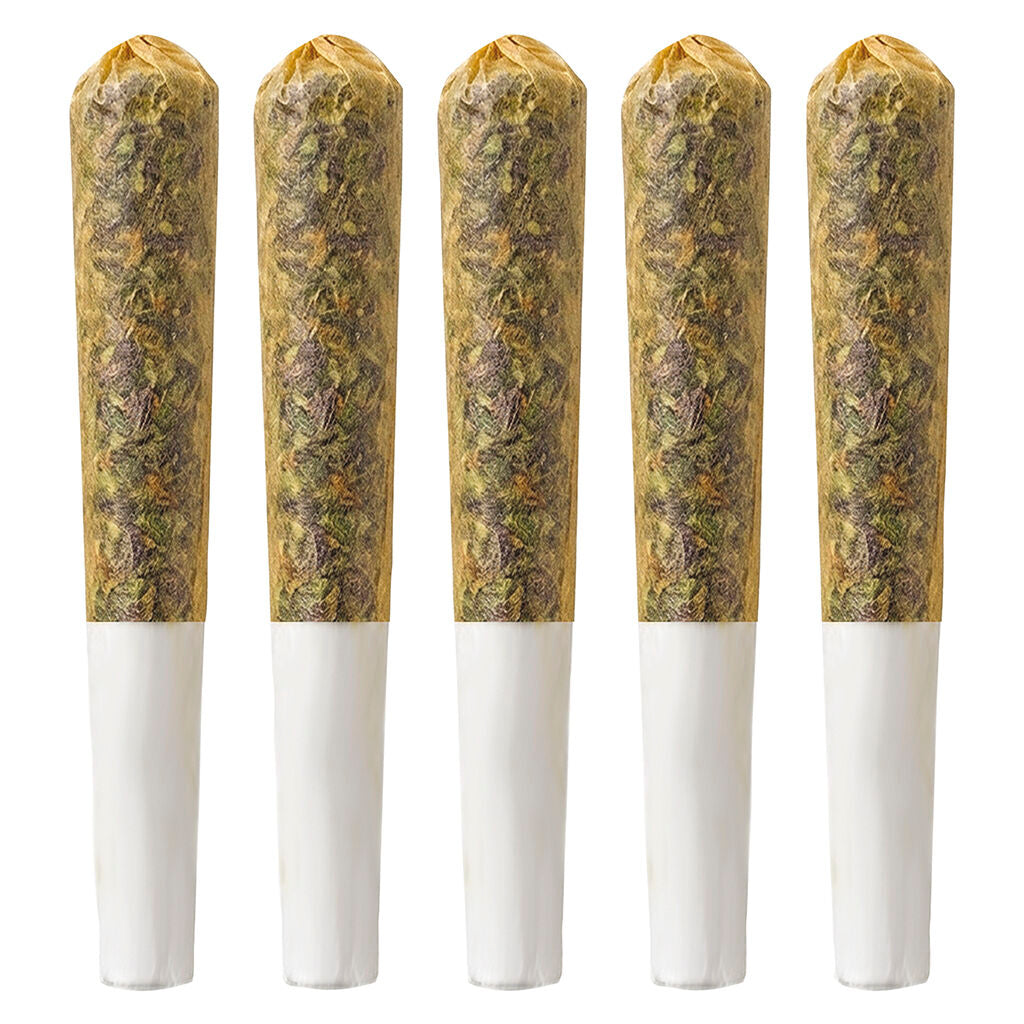 Sun-Kissed Pre-Roll - 
