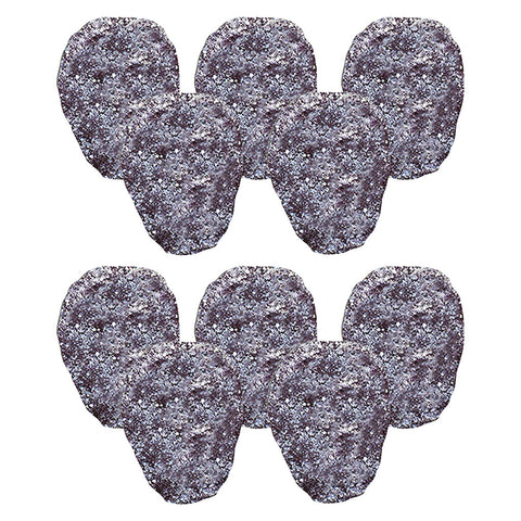 Photo Grape Beyond