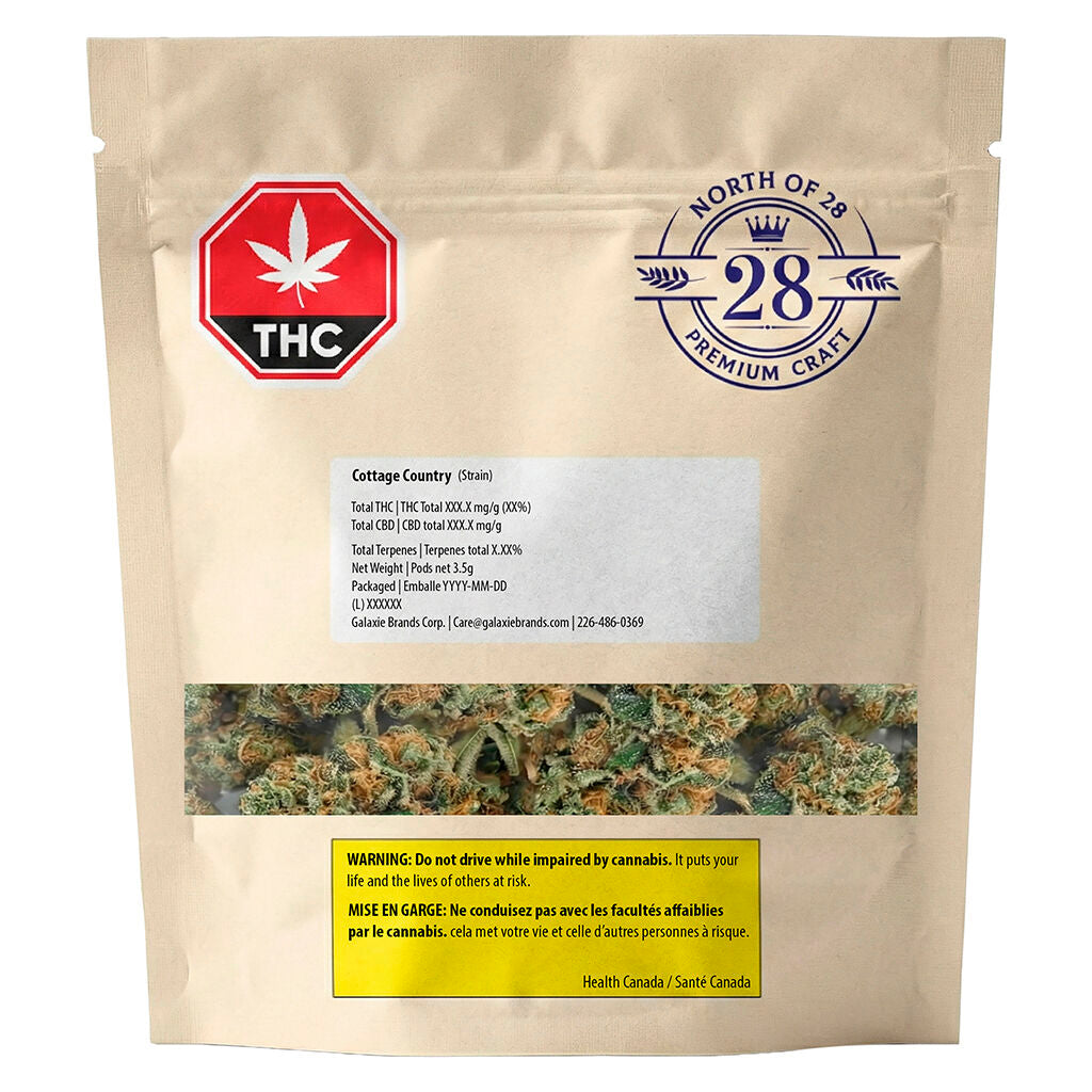 Kush Mintz - 