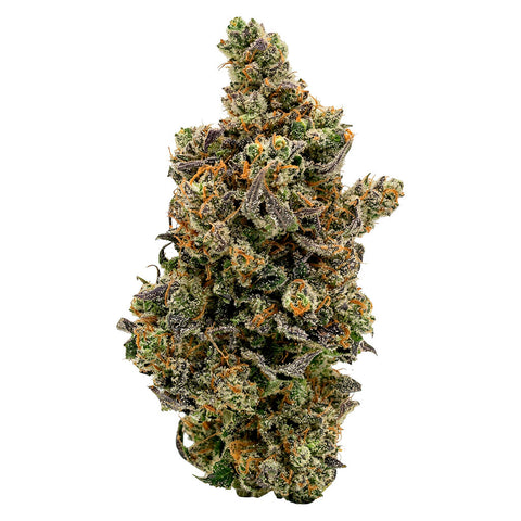 Photo Kush Mintz