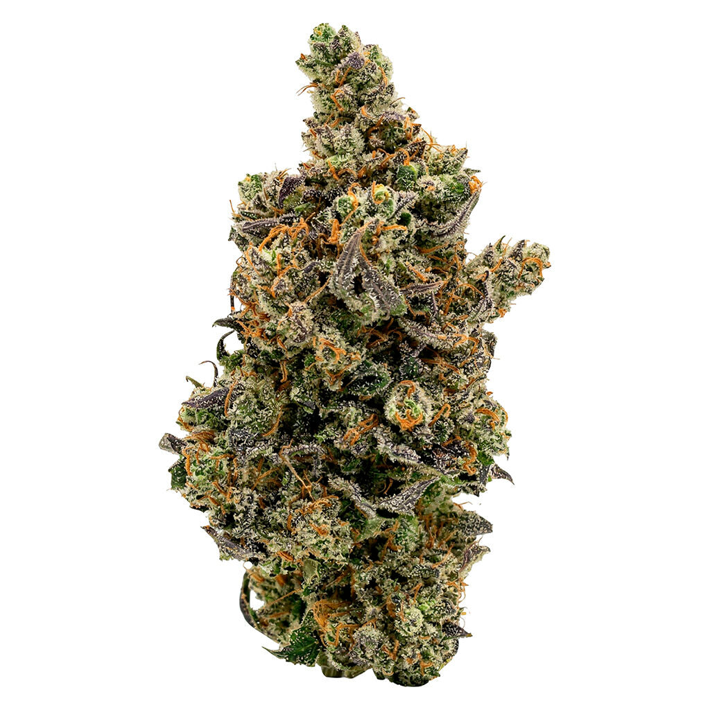 Kush Mintz
