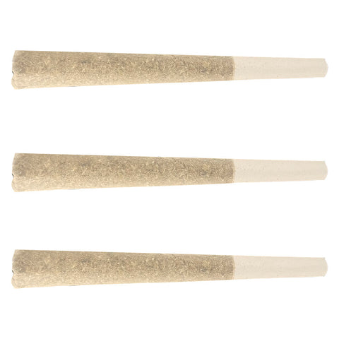Photo Apes in Space Pre-Roll