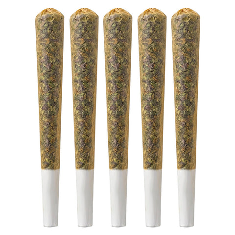 Photo Better than Your Taster Pack Pre-Roll