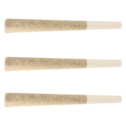 Photo Fool's Gold Pre-Roll