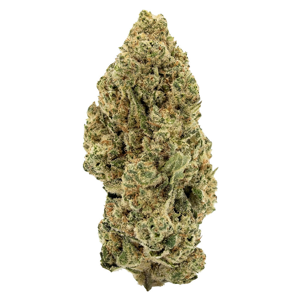 Indica - 