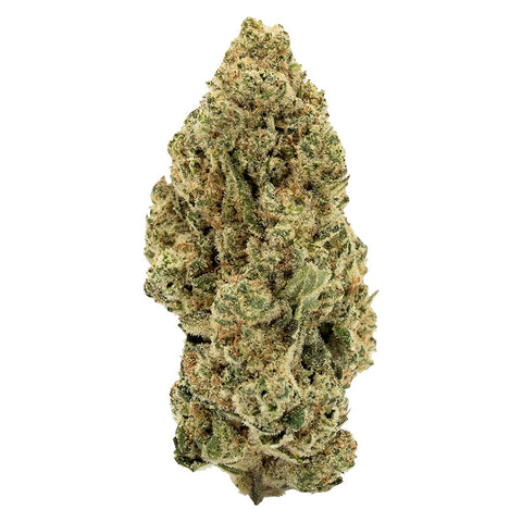 Photo Indica