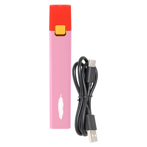 Photo Juicy Rouge USB-C jetable et rechargeable